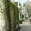 陕西国际商贸学院校园照片_93064