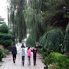 宁夏师范大学校园照片_44897