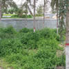 宁夏师范大学校园照片_44892