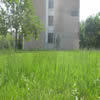 北方民族大学校园照片_56751