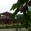 北方民族大学校园照片_56792