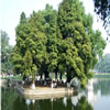 华南理工大学校园照片_34129