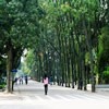 广西大学校园照片_35672